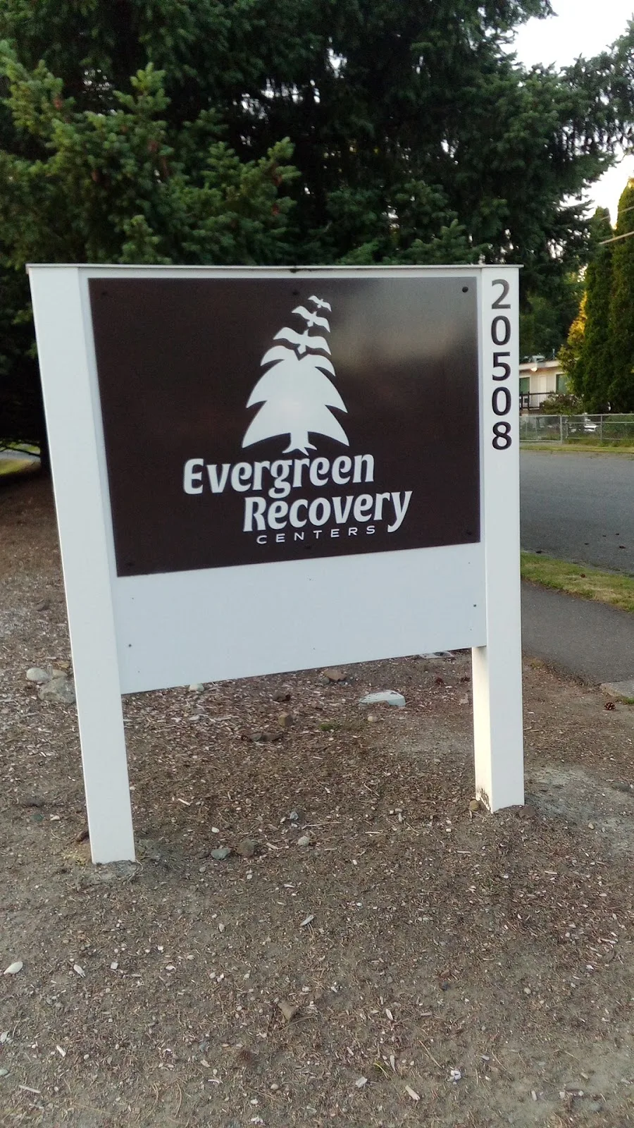 Evergreen Detox - Photo 2