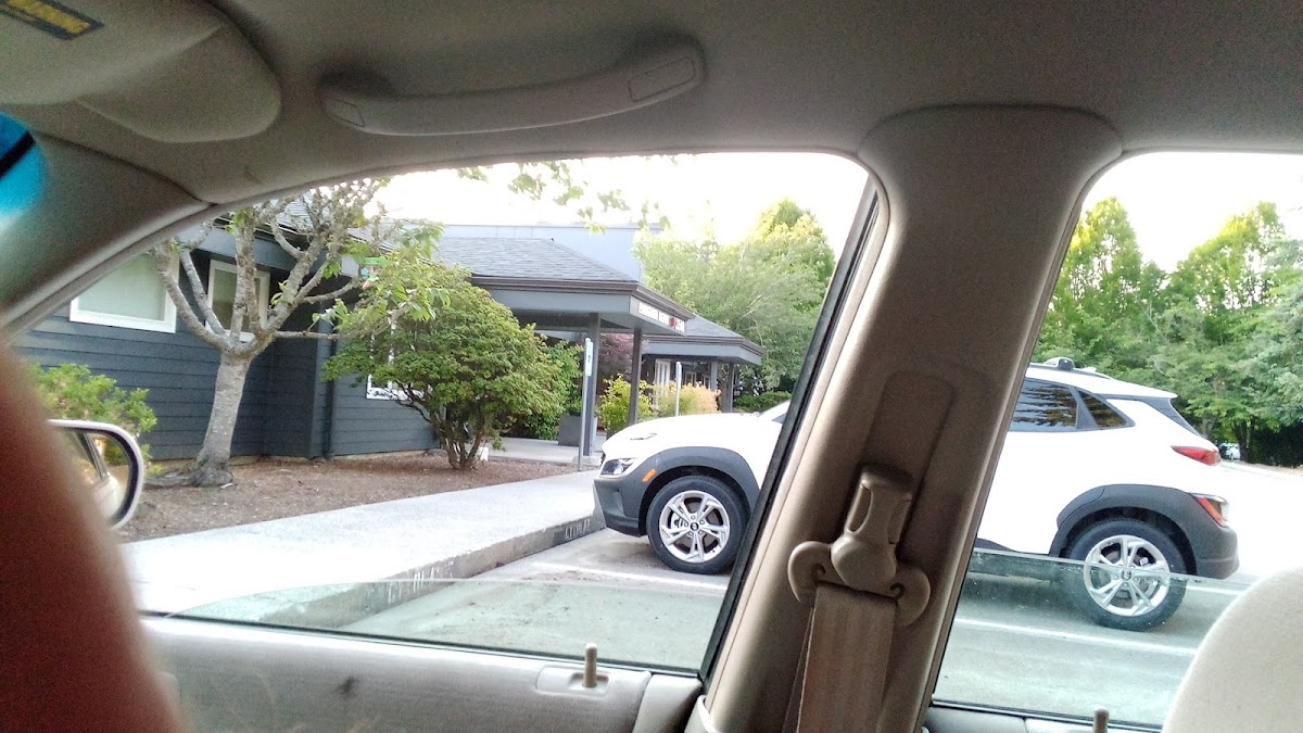 Evergreen Detox - Photo 6