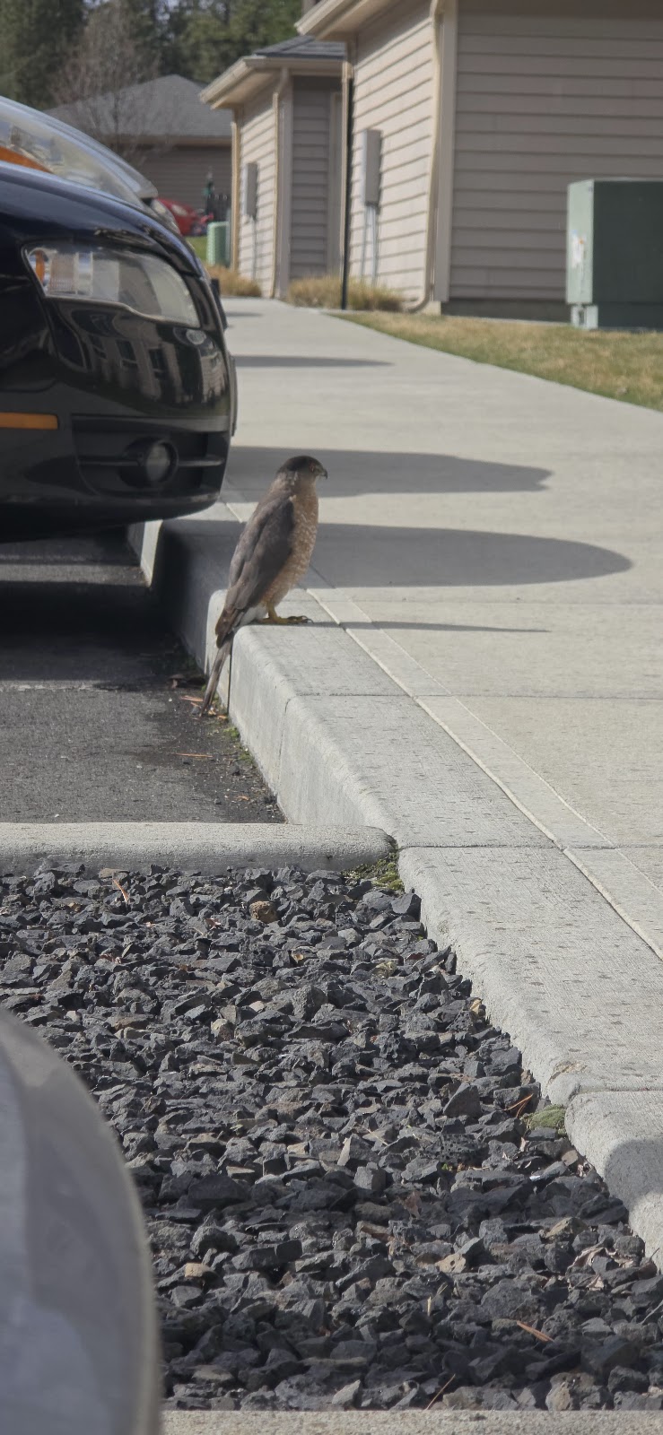 Tamarack Center - Photo 4