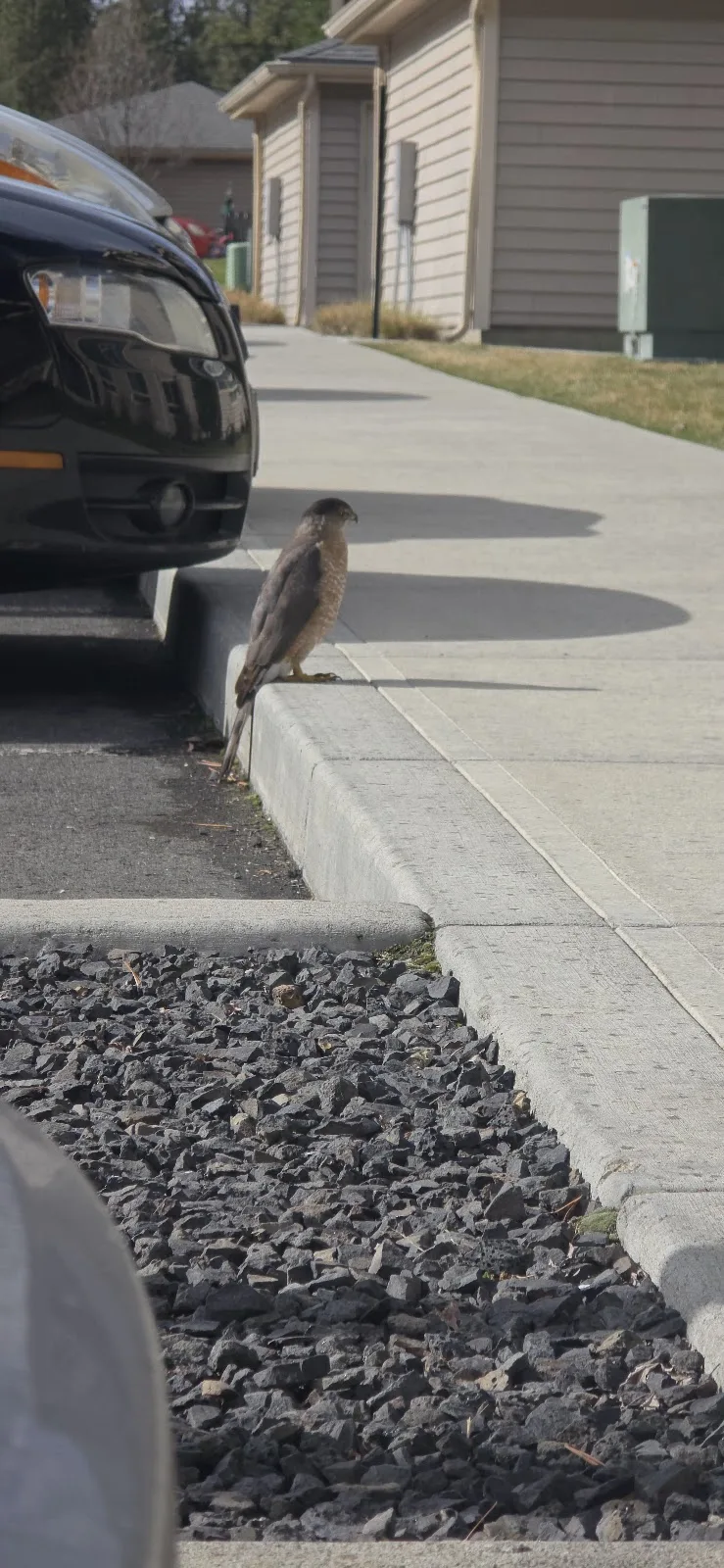Tamarack Center - Photo 2