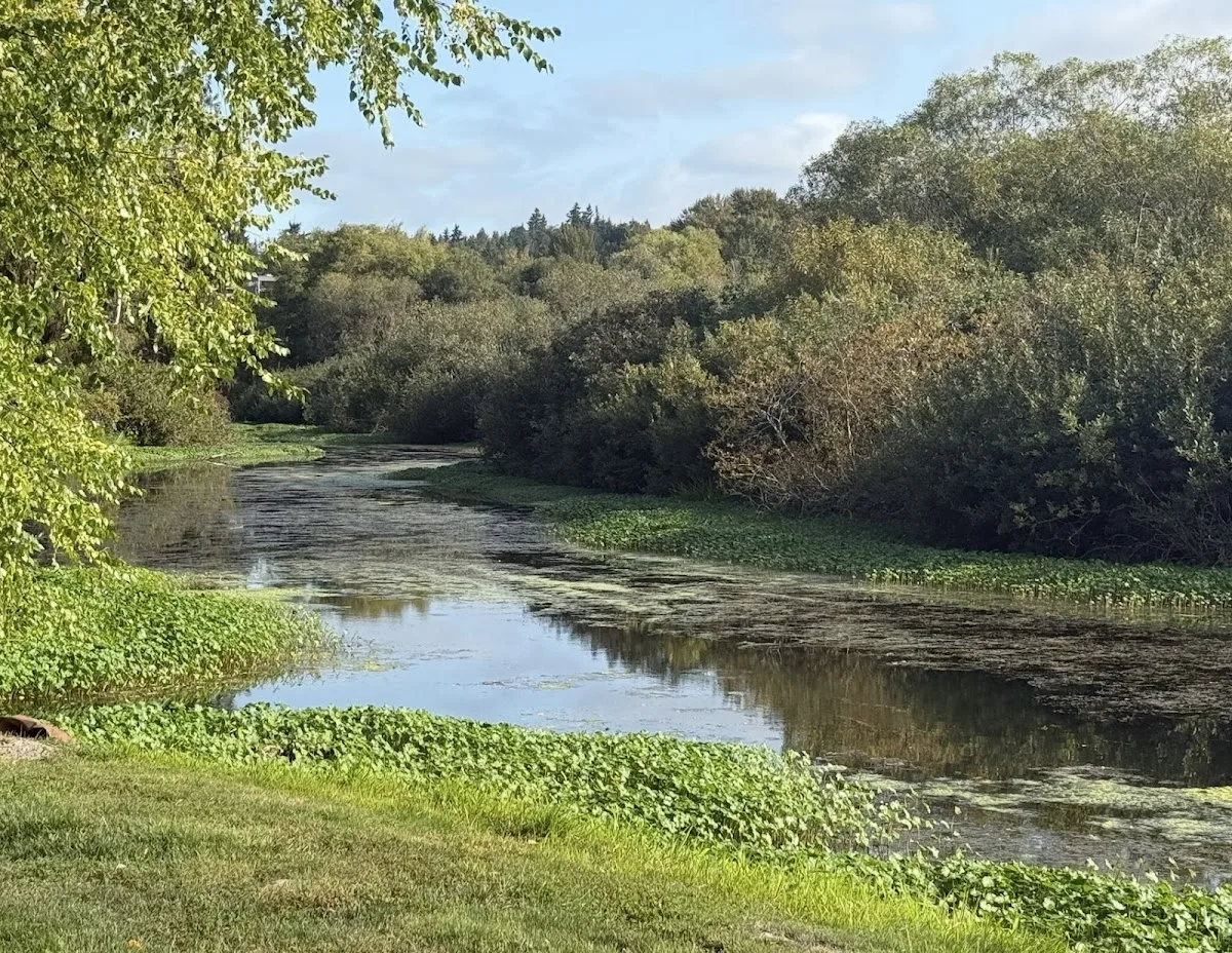 Rogers Behavioral Health - Photo 3