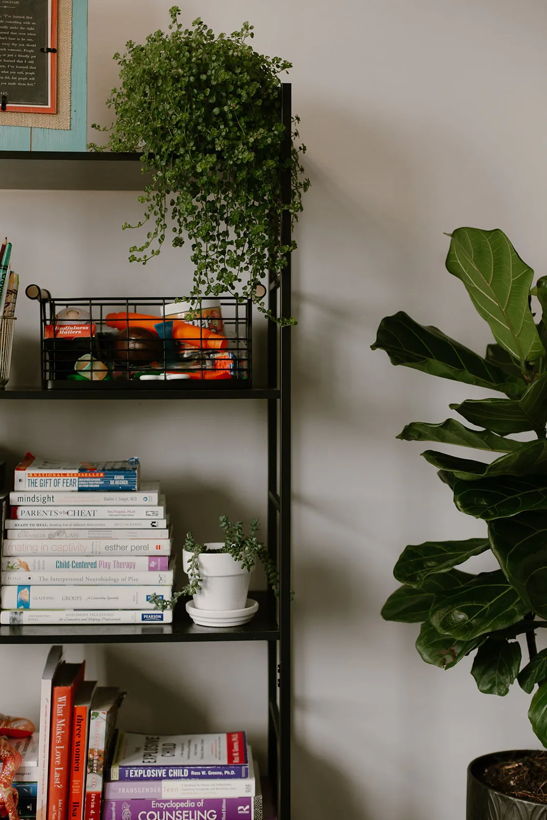 The Bellevue Trauma Recovery Center - Photo 4