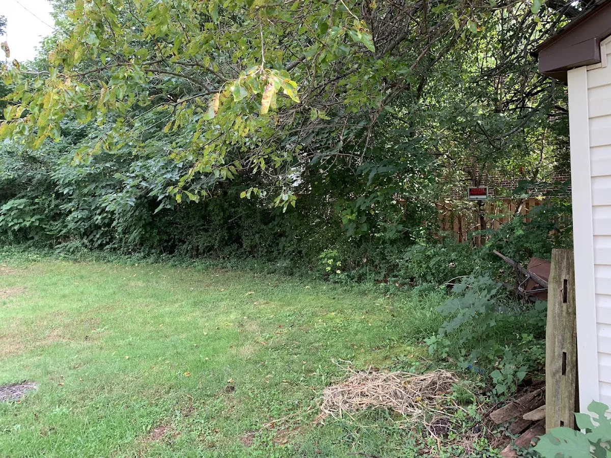 Fairfax Detoxification Center - Photo 2