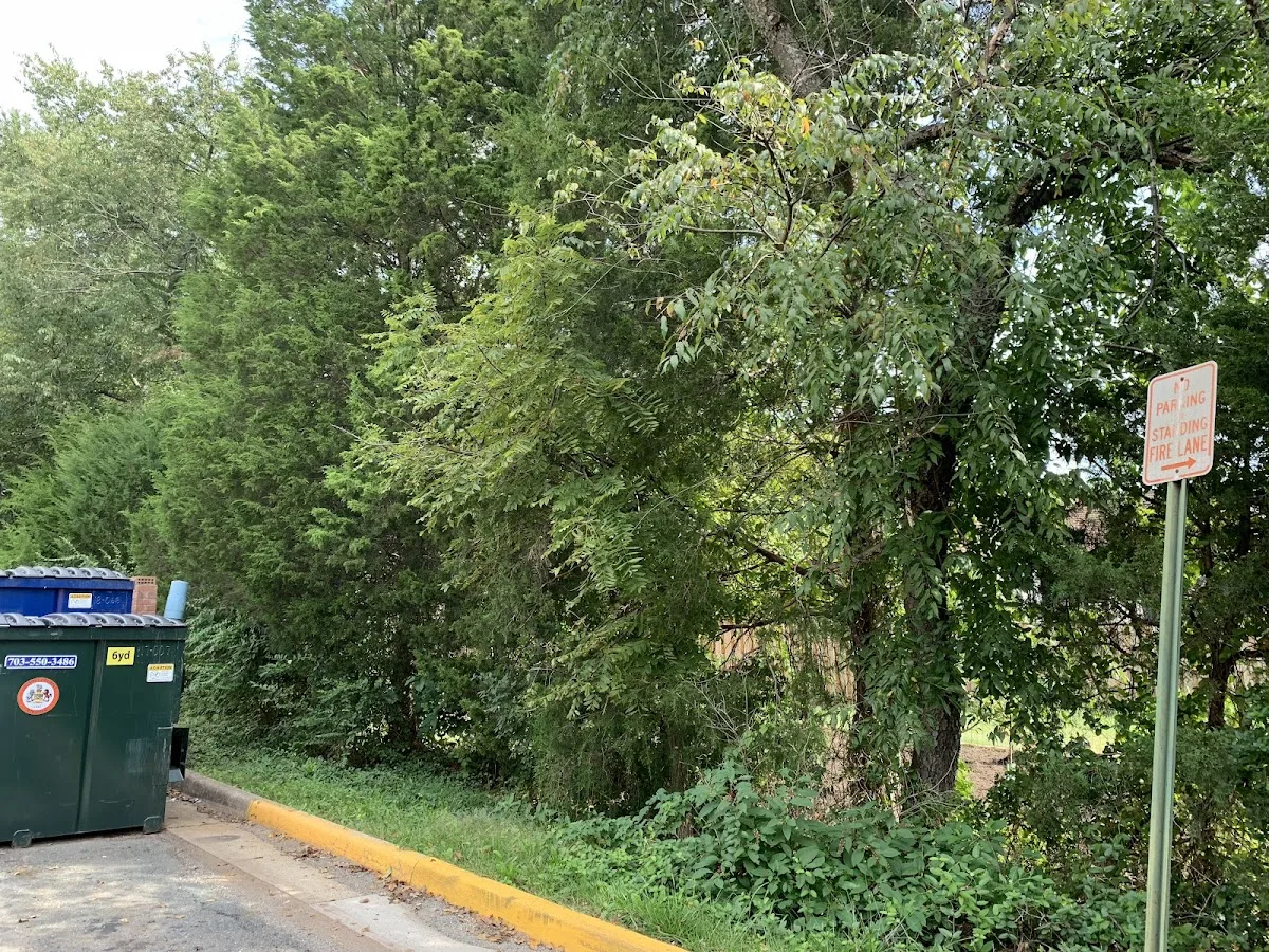 Fairfax Detoxification Center - Photo 4