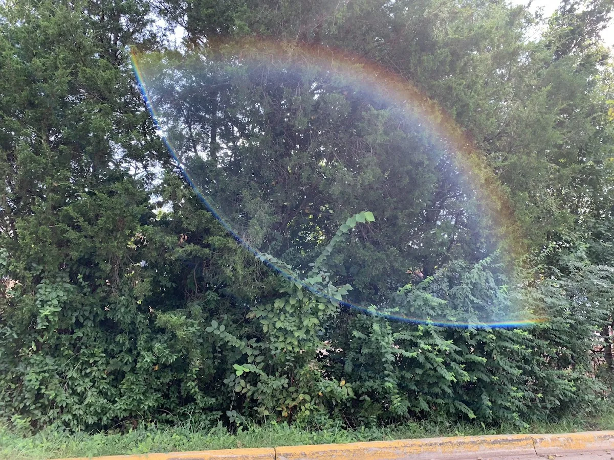 Fairfax Detoxification Center - Photo 5