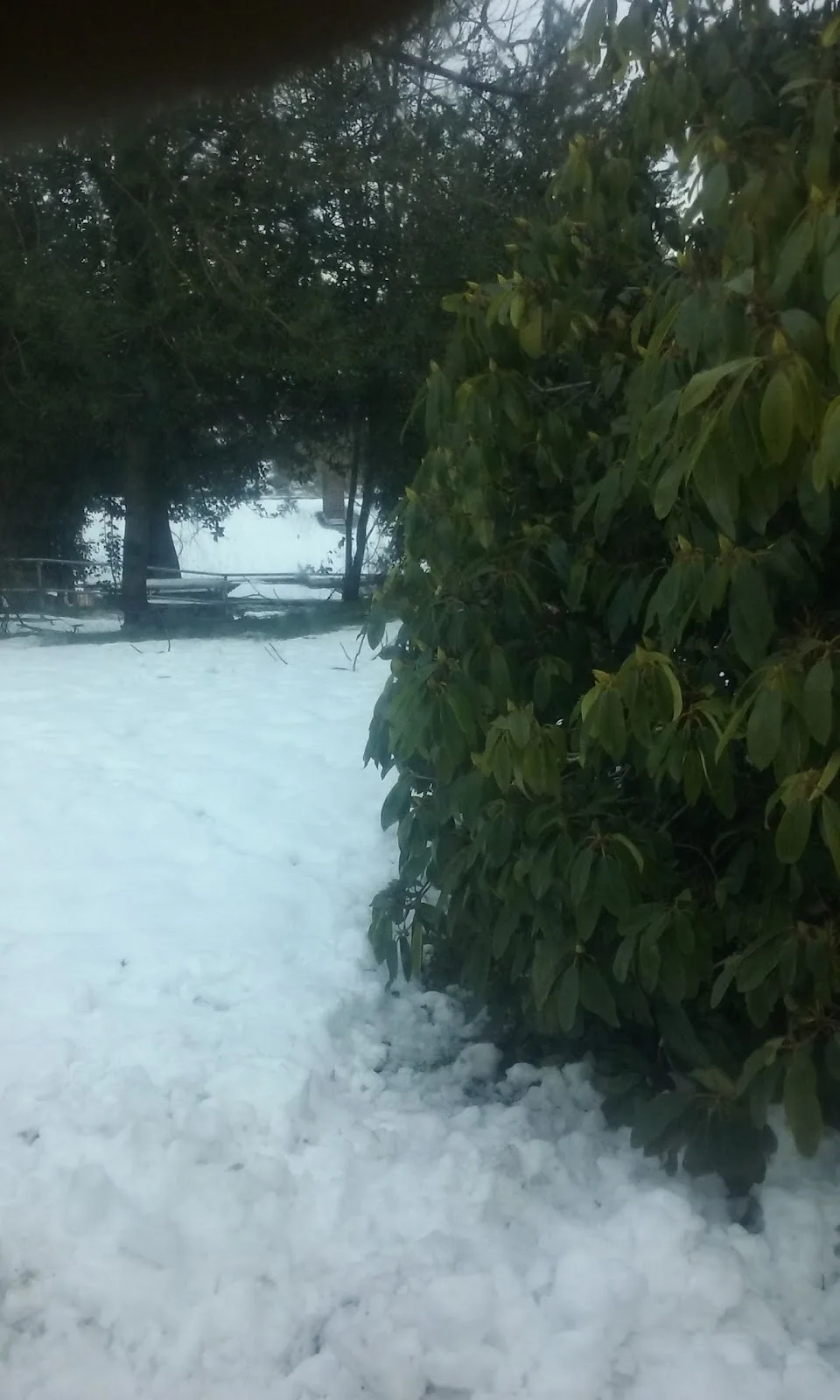 Thunderbird Treatment Center - Photo 3