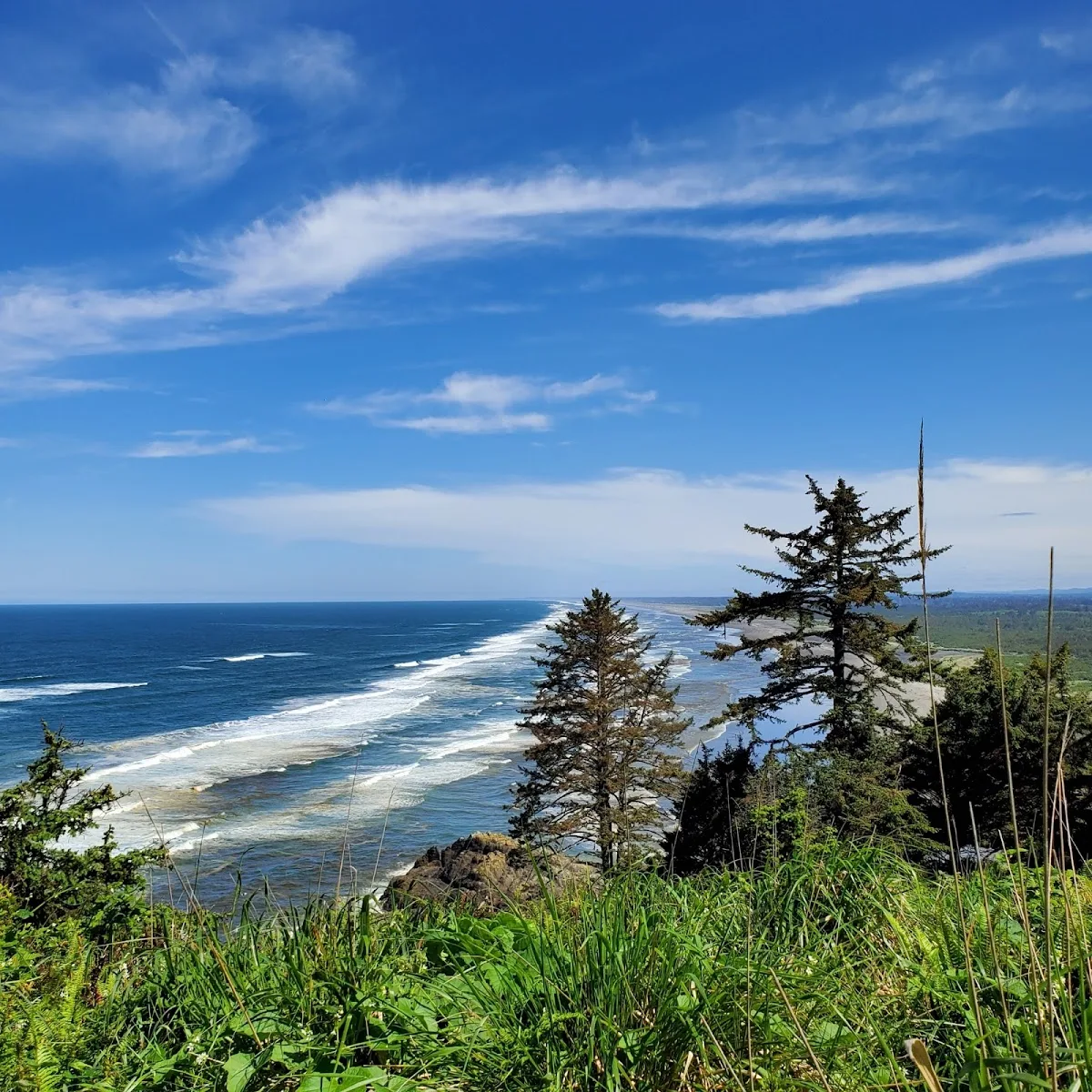 Free by the Sea - Photo 2