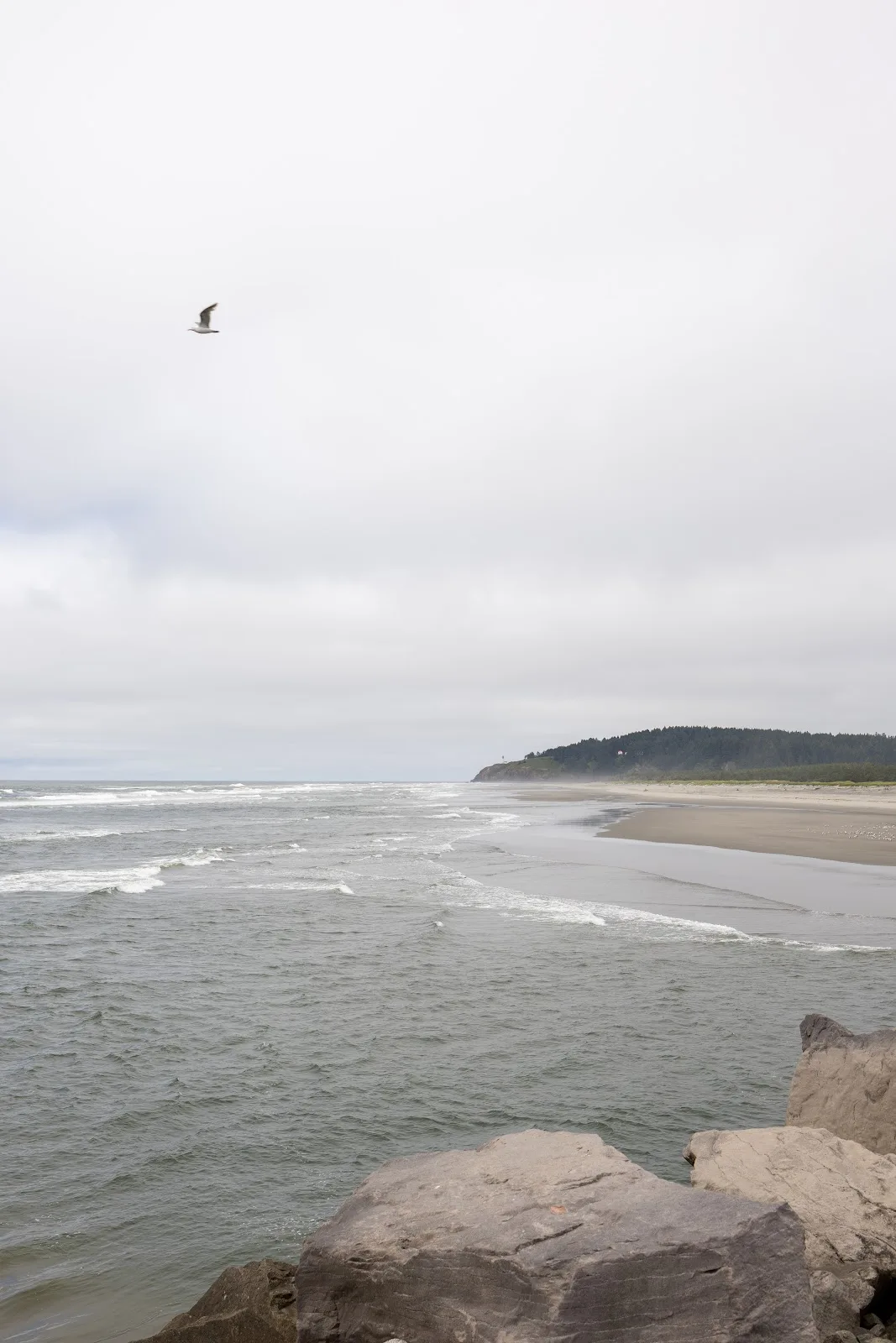 Free by the Sea - Photo 3