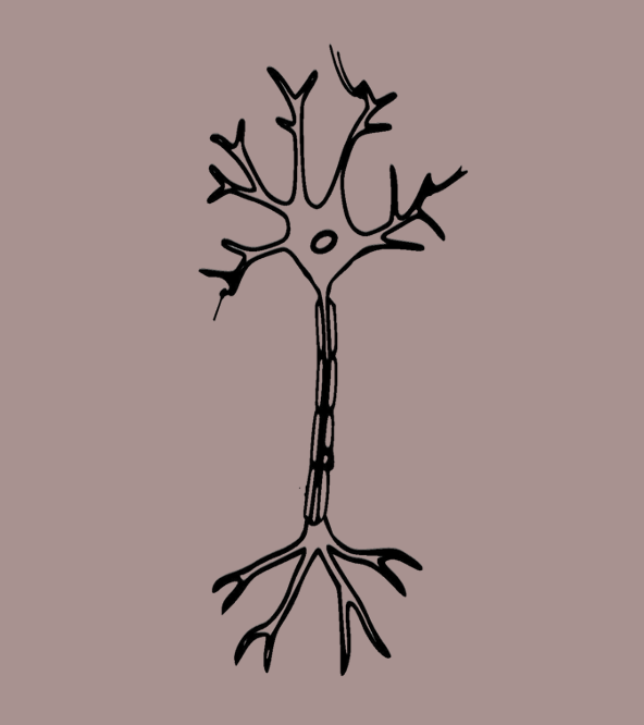 JR Mental Wellness Center - Photo 1