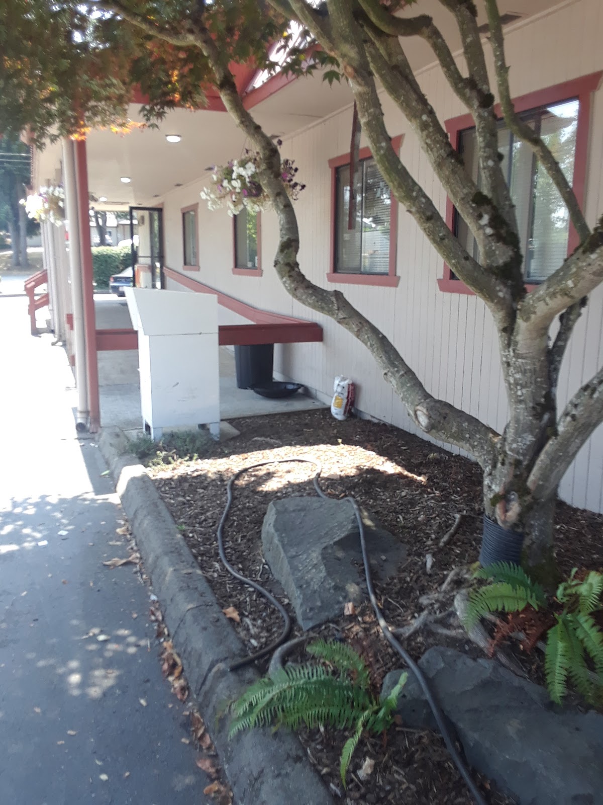Northwest Integrated Health Lakewood Location - Photo 5