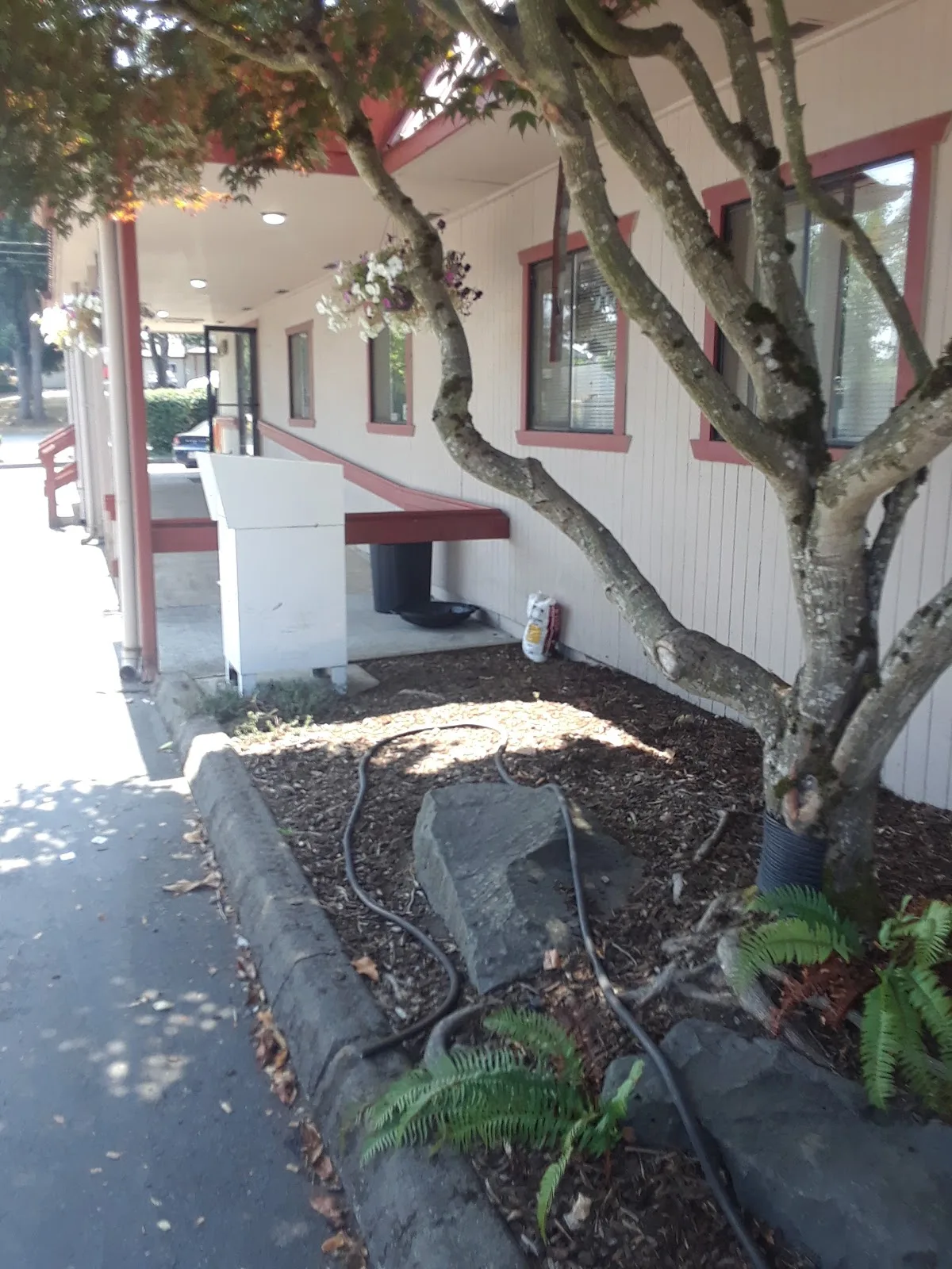 Northwest Integrated Health Lakewood Location - Photo 5