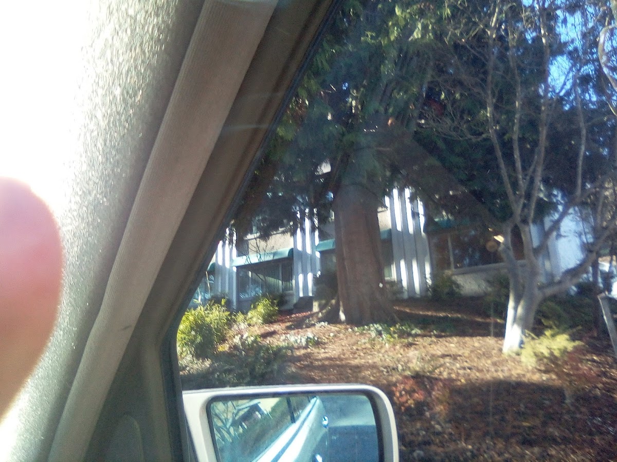 Valley Cities Behavioral Health Care: Recovery Place Seattle - Photo 6