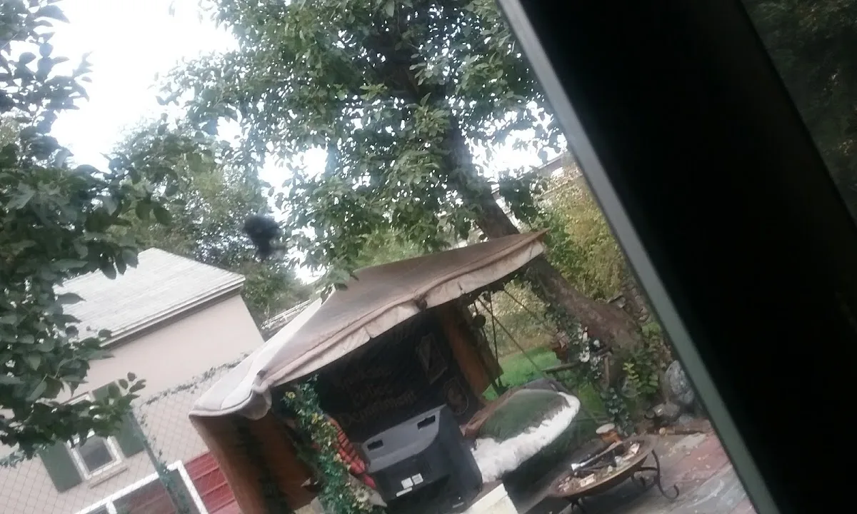 Reclaim Project - Photo 4