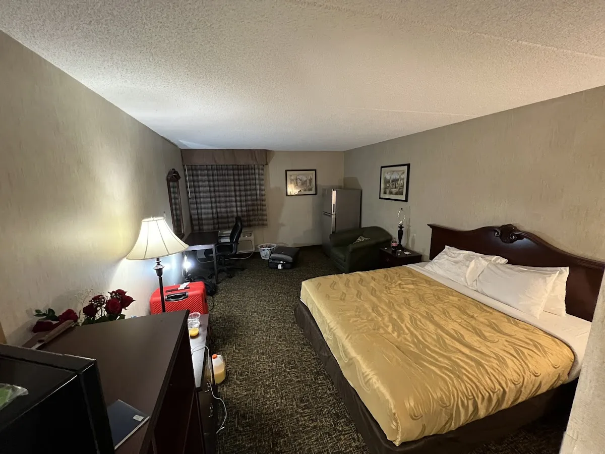 Thrive International - Photo 2