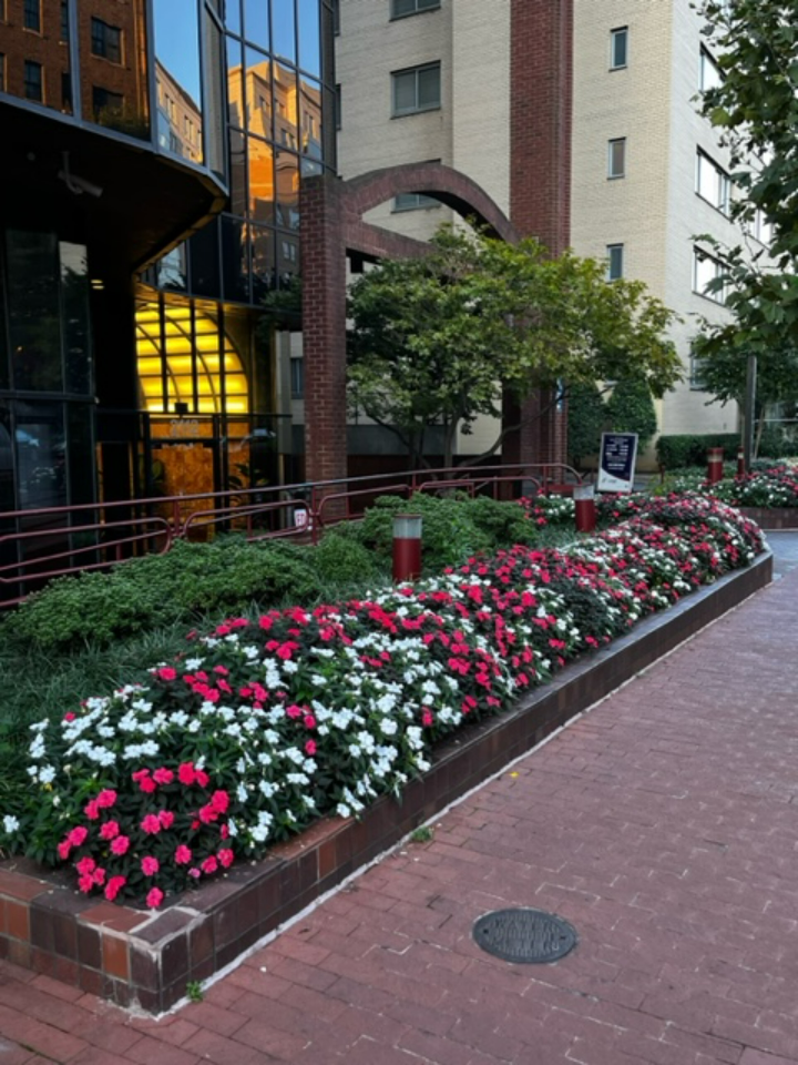 MedMark Treatment Centers District of Columbia - Photo 6