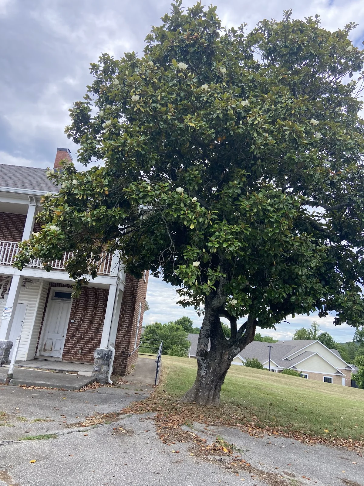 Recovery Unplugged Drug & Alcohol Rehab Virginia - Photo 2