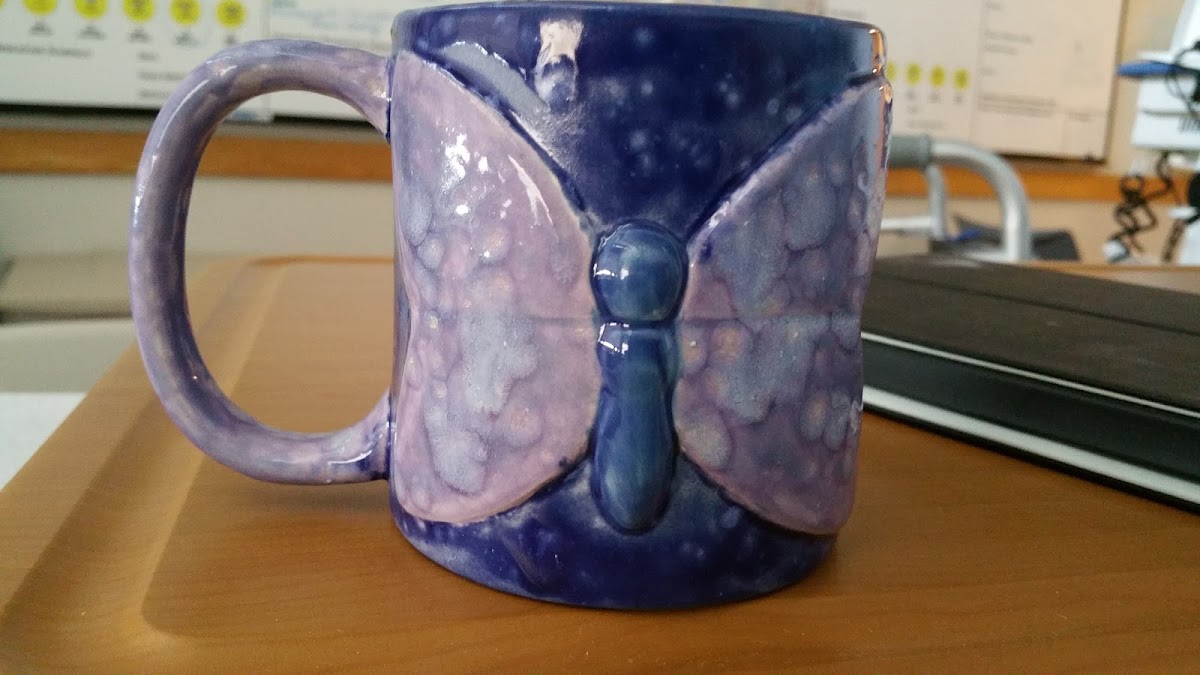 Inova Rehabilitation Center - Inpatient Services - Mount Vernon - Photo 4