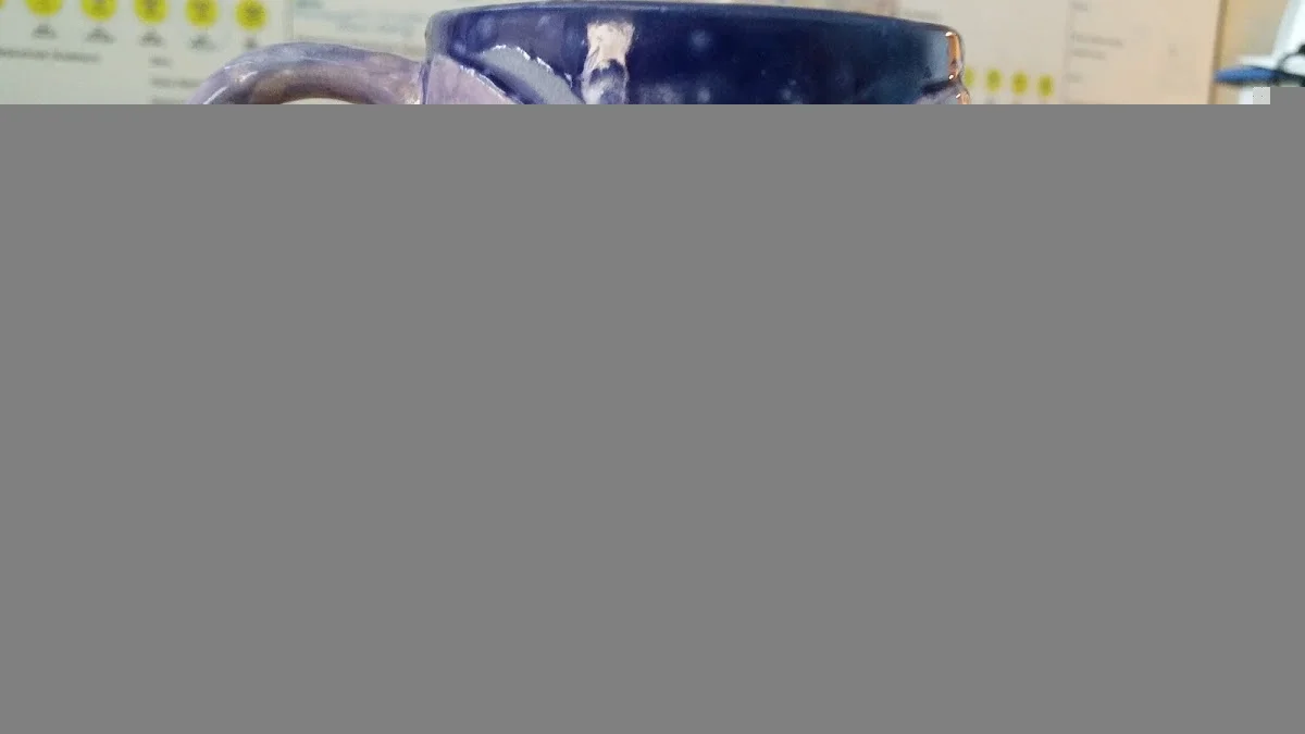 Inova Rehabilitation Center - Inpatient Services - Mount Vernon